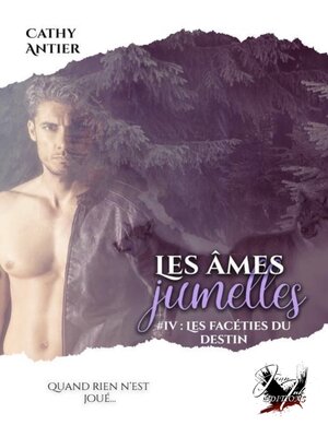 cover image of Les âmes jumelles, Tome 4